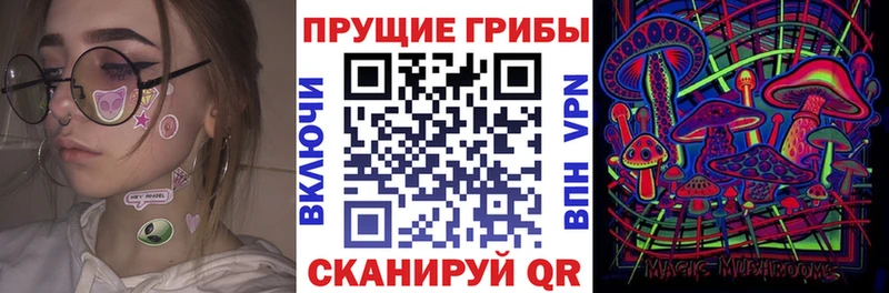 Псилоцибиновые грибы MAGIC MUSHROOMS  Эртиль 
